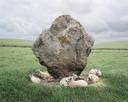 Sheep And Standing Stone - Avebury, England