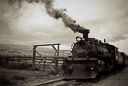 Locomotive #489