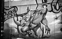 Wall Graffiti, Rhino - Venice, California