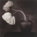 Untitled  [Flowers & Vase]