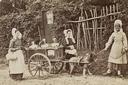 Untitled  [Dogcart With Three Females]