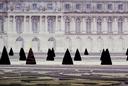 Pines And Palace, Versailles  [Special Edition]