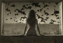 Nude In Window With Bats