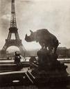 Untitled  [Rhinoceros Statue & Eiffel Tower]