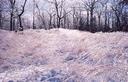 Dunning Trail, Ice Day