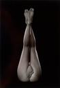 Untitled  [Nude Figures Studies Series]