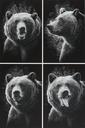 Bear In Photo Booth